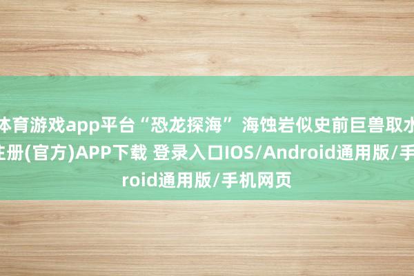 体育游戏app平台“恐龙探海” 海蚀岩似史前巨兽取水-开云注