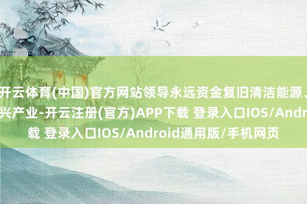 开云体育(中国)官方网站领导永远资金复旧清洁能源、节能环保等