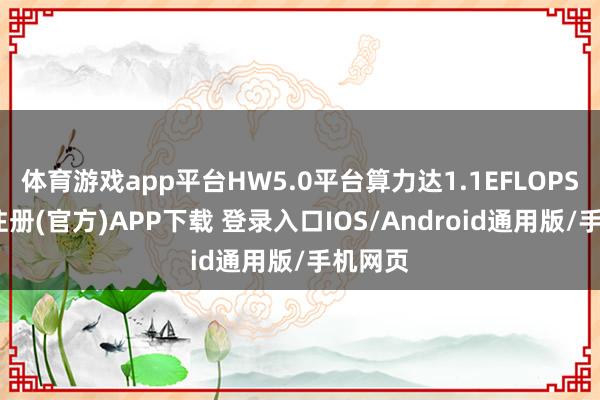 体育游戏app平台HW5.0平台算力达1.1EFLOPS-开