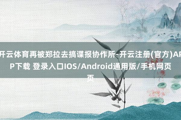 开云体育再被郑拉去搞谍报协作所-开云注册(官方)APP下载 登录入口IOS/Android通用版/手机网页