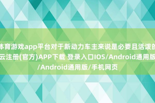 体育游戏app平台对于新动力车主来说是必要且活泼的一堂课-开