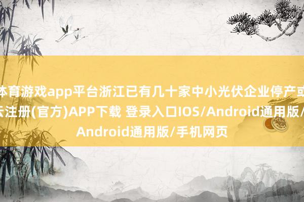 体育游戏app平台浙江已有几十家中小光伏企业停产或减产-开云