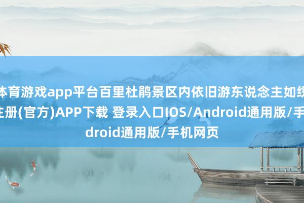 体育游戏app平台百里杜鹃景区内依旧游东说念主如织-开云注册(官方)APP下载 登录入口IOS/Android通用版/手机网页