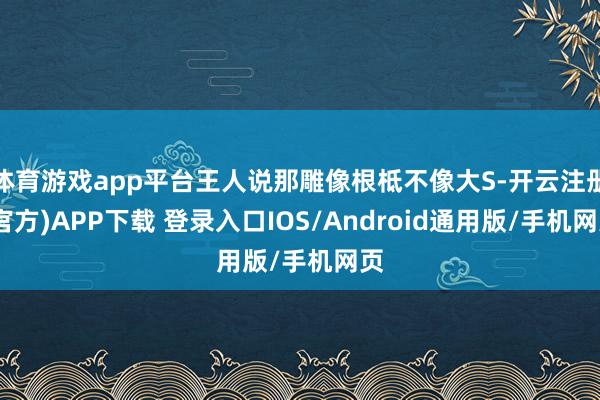 体育游戏app平台王人说那雕像根柢不像大S-开云注册(官方)